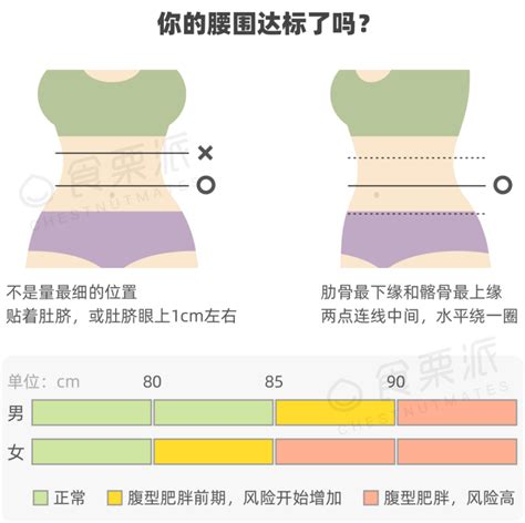 女性標準三圍|女性标准三围自测工具